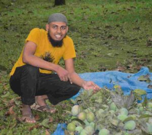 হারিভাঙ্গা আমের বাগান ✅ রংপুর আম চাষ ✅ হারিভাঙ্গা ভিজিট ব্লগ ✅ রংপুরের মিষ্টি আম ✅ হারিভাঙ্গা অনলাইন কেনা