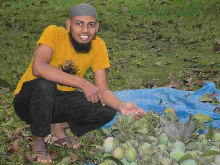 হারিভাঙ্গা আমের বাগান ✅ রংপুর আম চাষ ✅ হারিভাঙ্গা ভিজিট ব্লগ ✅ রংপুরের মিষ্টি আম ✅ হারিভাঙ্গা অনলাইন কেনা