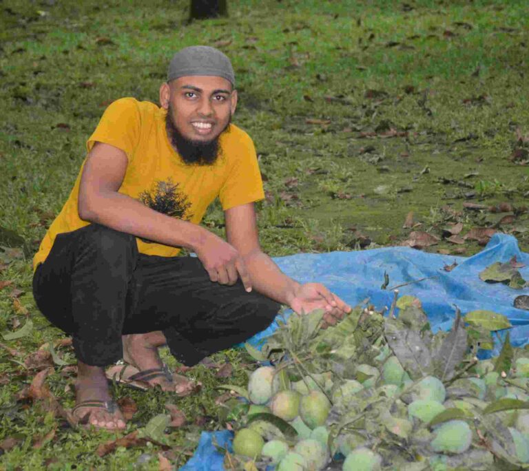 harivanga_am_1_optimized হারিভাঙ্গা আমের বাগান ✅ রংপুর আম চাষ ✅ হারিভাঙ্গা ভিজিট ব্লগ ✅ রংপুরের মিষ্টি আম ✅ হারিভাঙ্গা অনলাইন কেনা