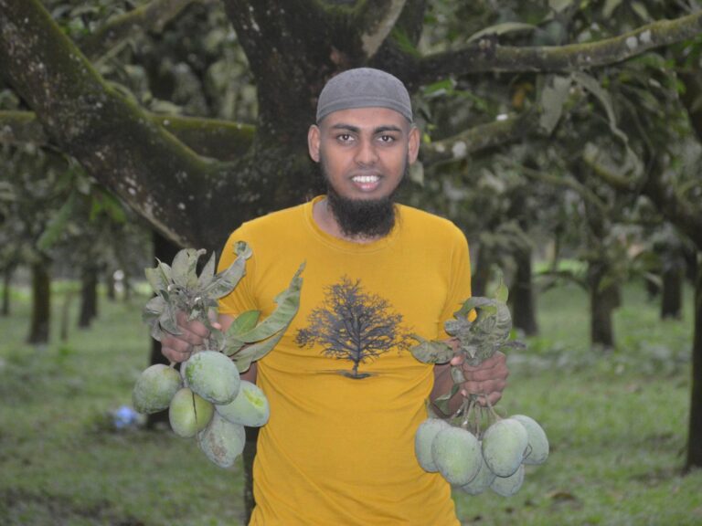 হারিভাঙ্গা আম Organic Harvest from Rangpur - Fresh Home Products Delivered Fast with rangpurstore.com!